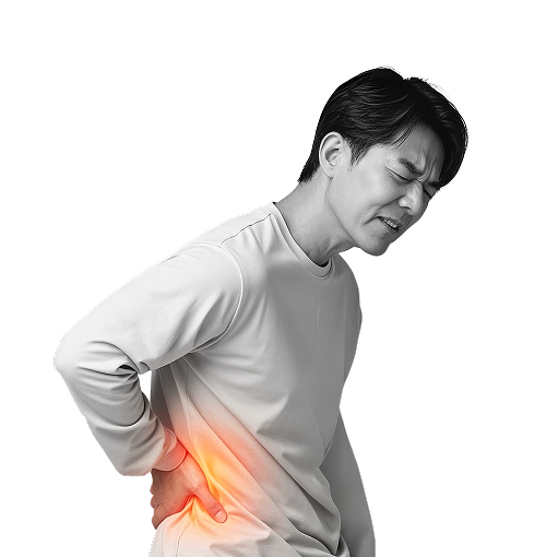 허리&골반(요추)